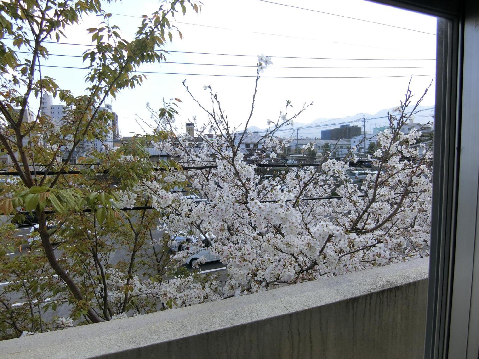 Simple Stay Beppu Chambre photo